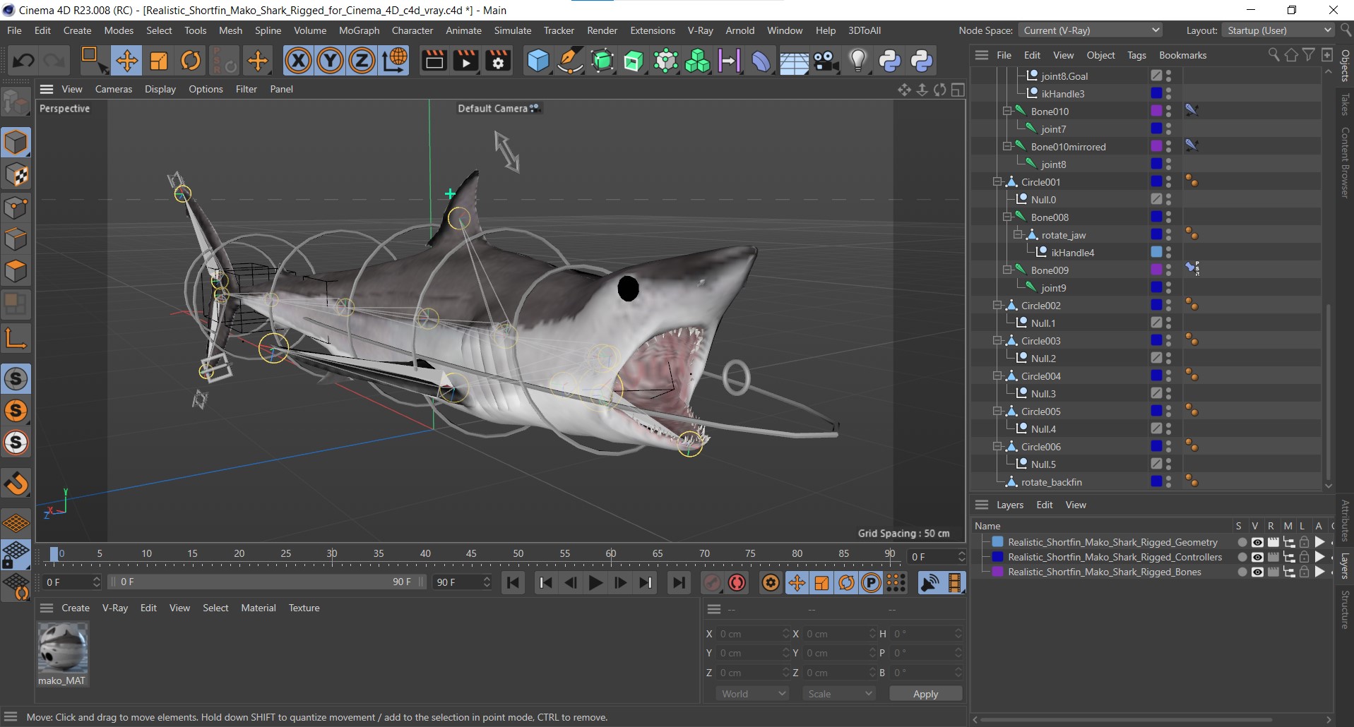 3D model Realistic Shortfin Mako Shark Rigged for Cinema 4D