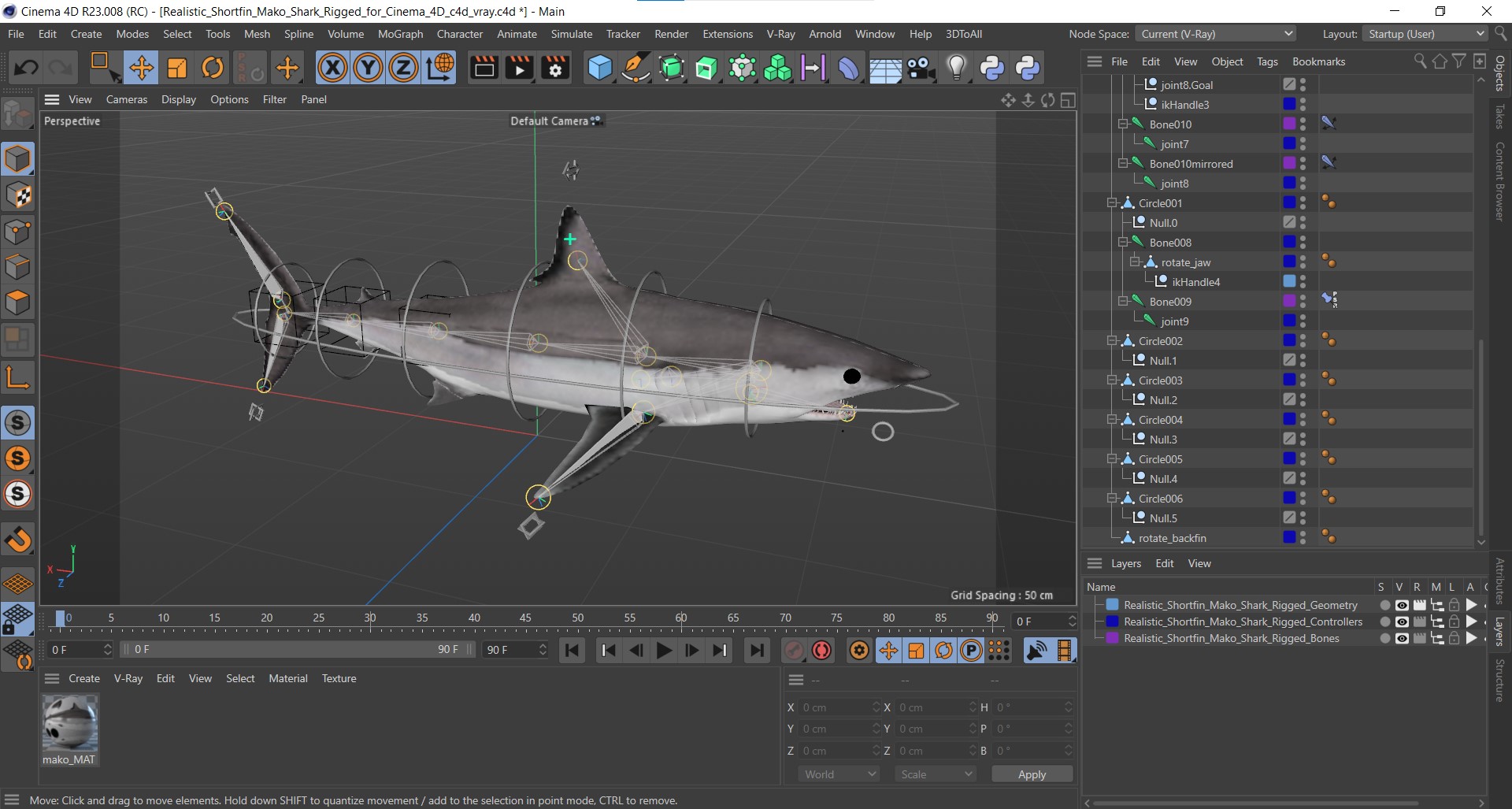 3D model Realistic Shortfin Mako Shark Rigged for Cinema 4D