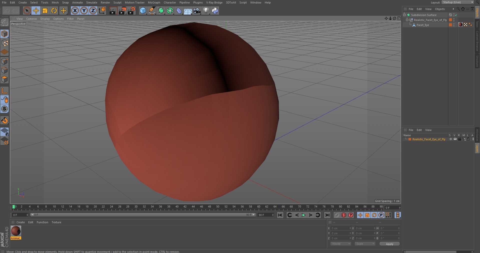 3D Realistic Facet Eye of Fly