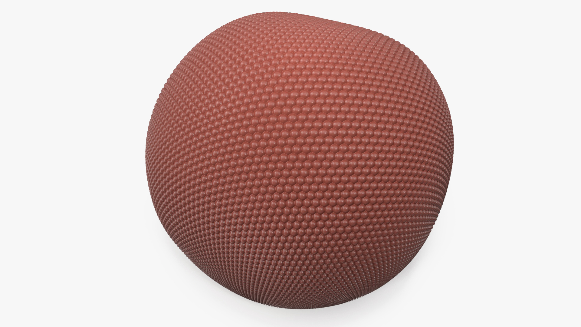3D Realistic Facet Eye of Fly