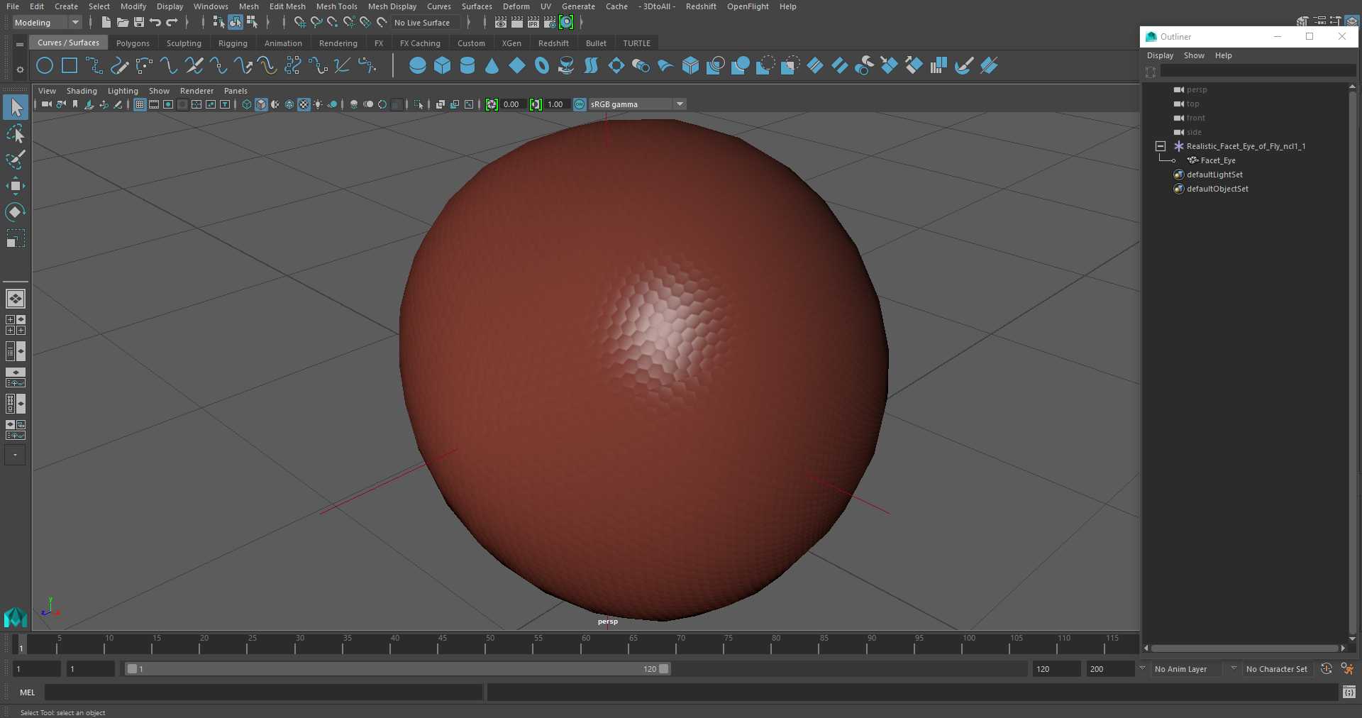 3D Realistic Facet Eye of Fly