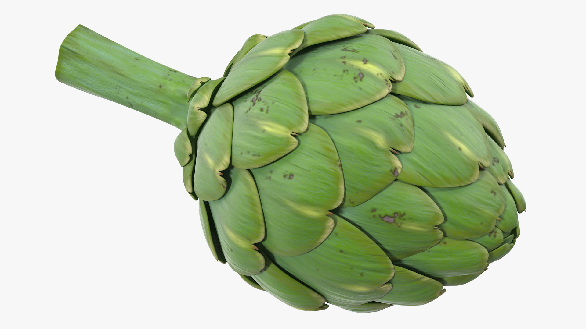 Artichoke 3D model