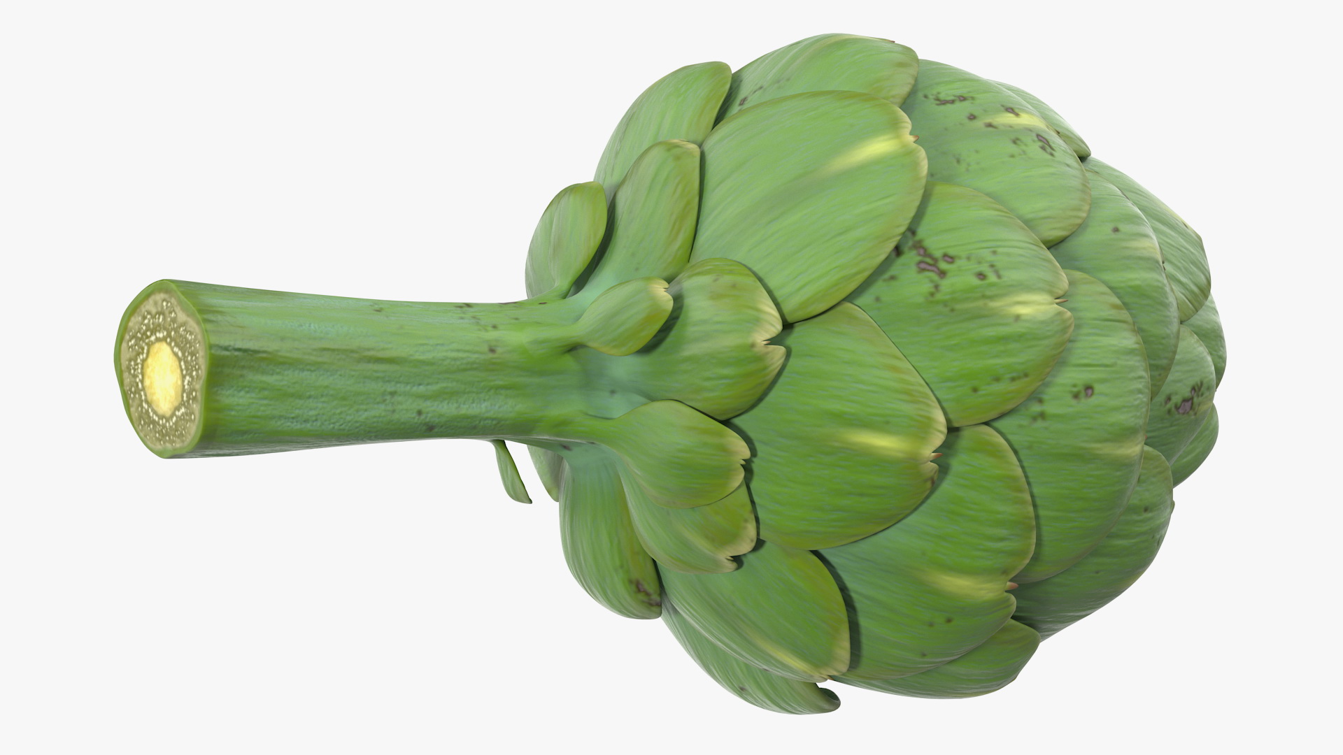 Artichoke 3D model
