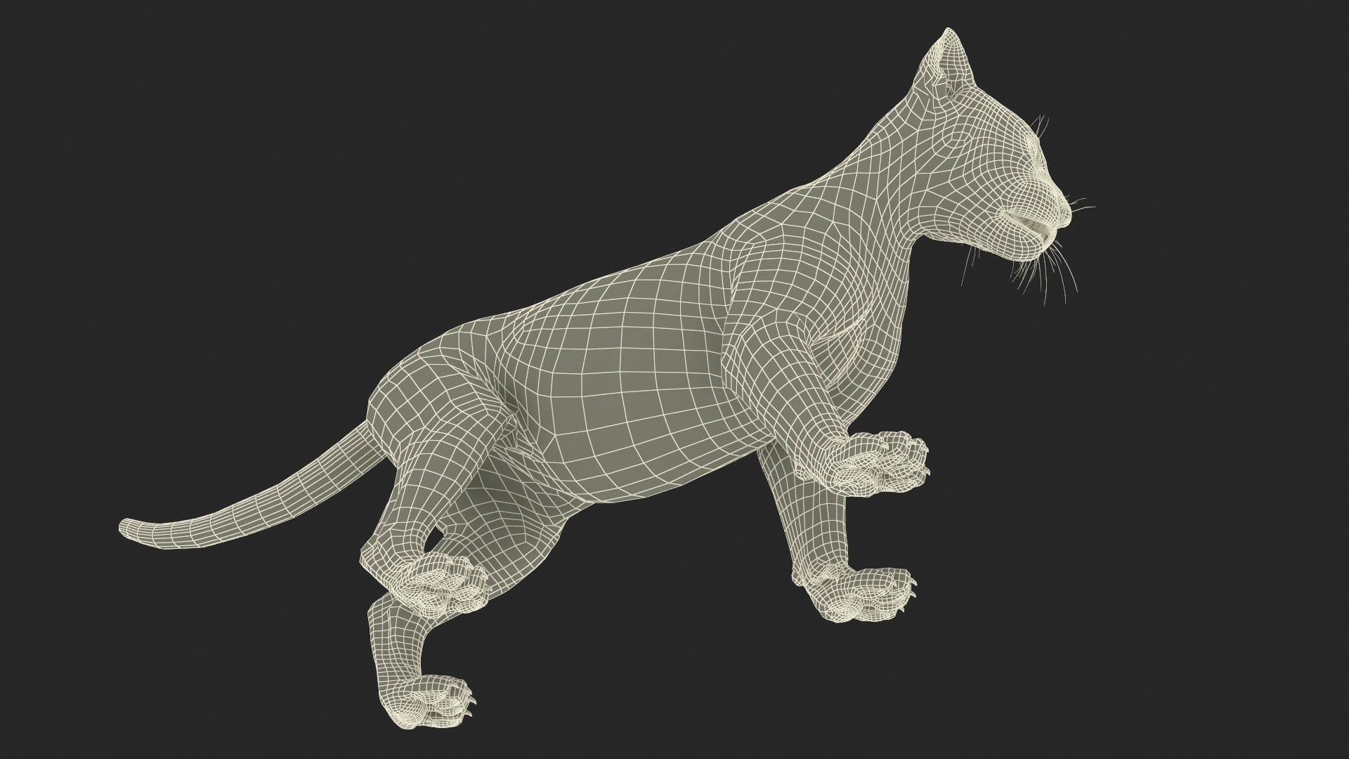3D Baby Black Panther Cub Fur