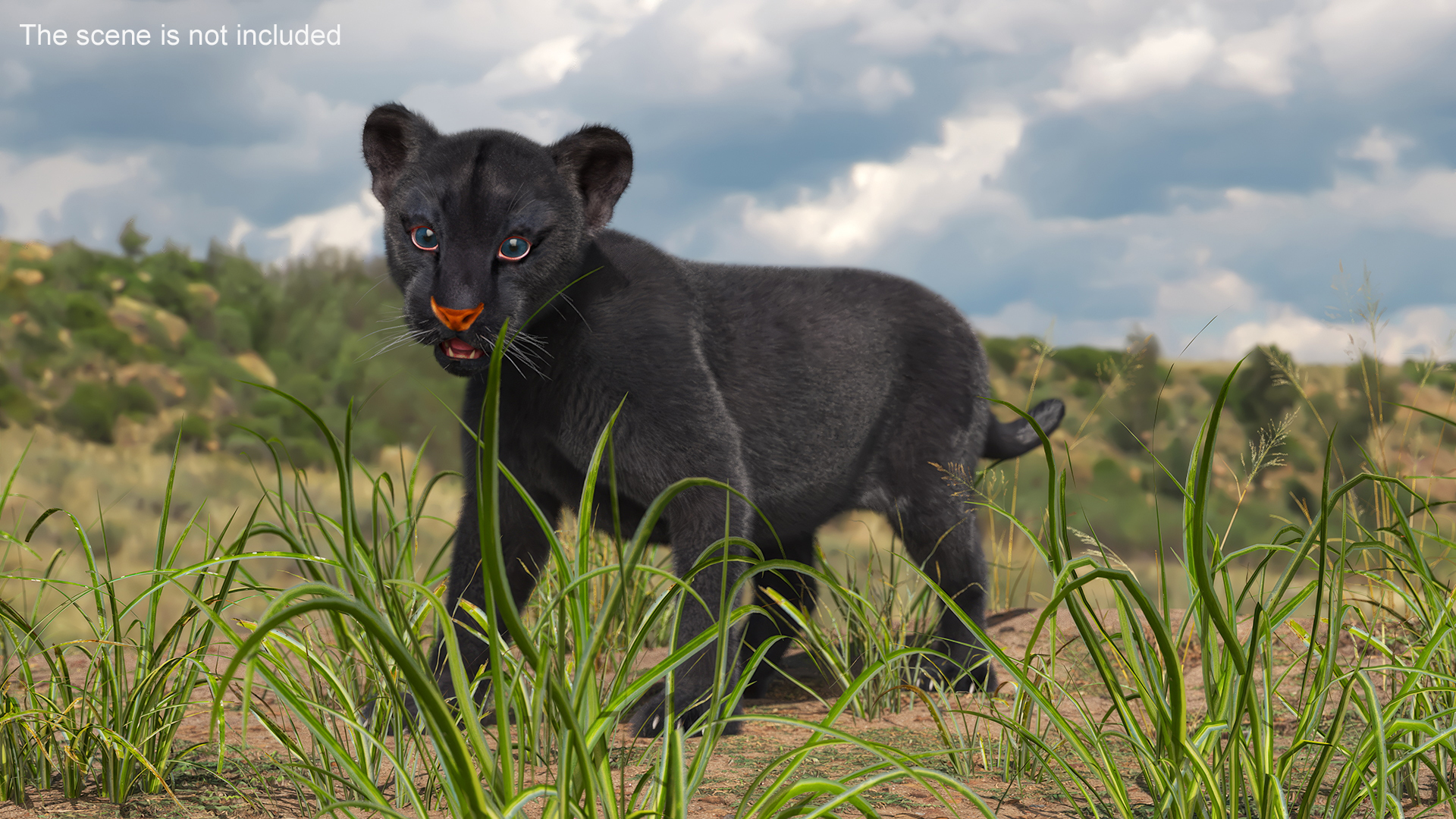 3D Baby Black Panther Cub Fur