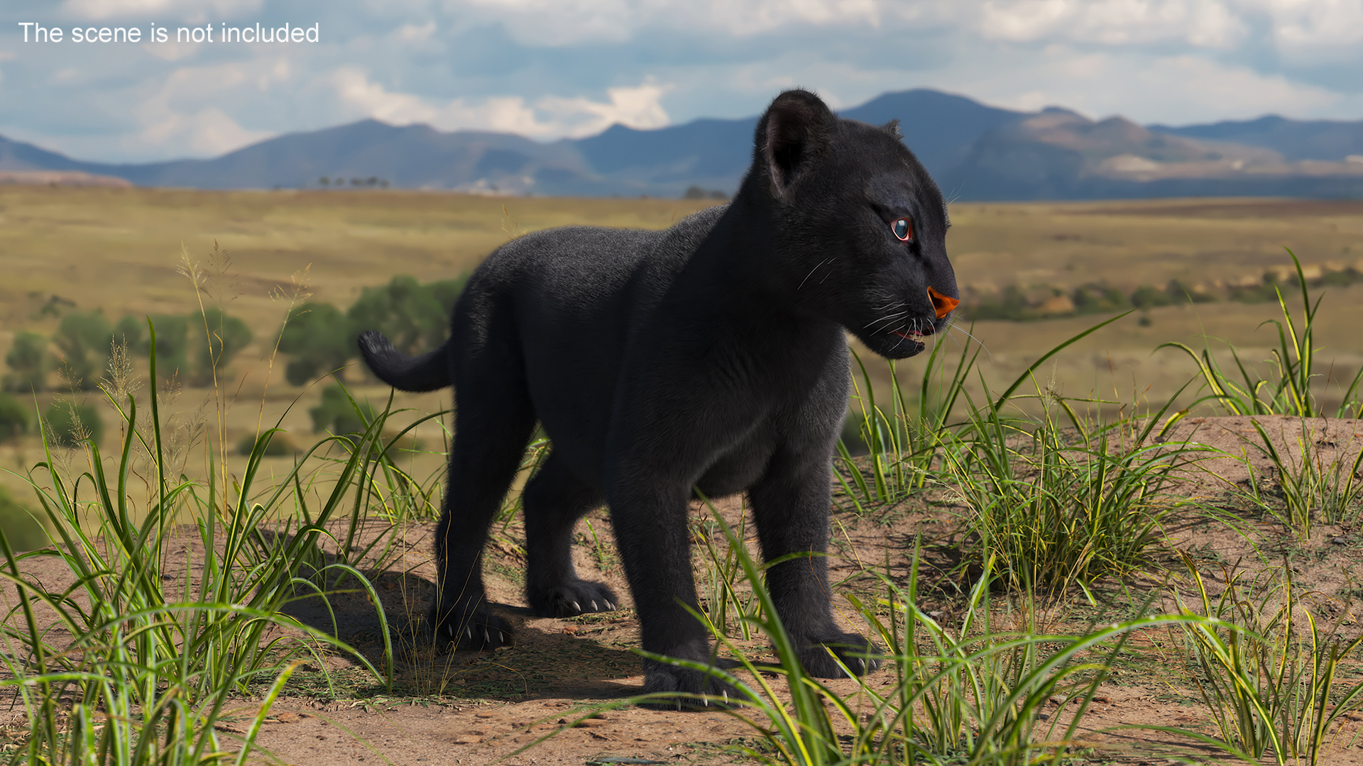 3D Baby Black Panther Cub Fur