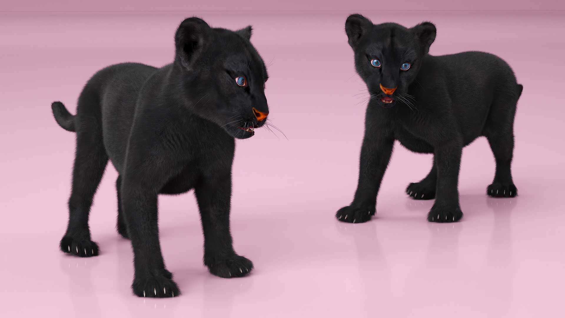 3D Baby Black Panther Cub Fur