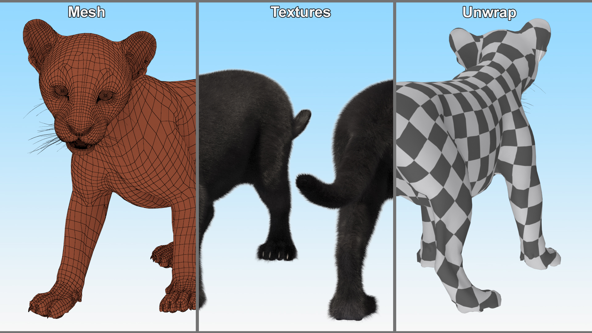 3D Baby Black Panther Cub Fur