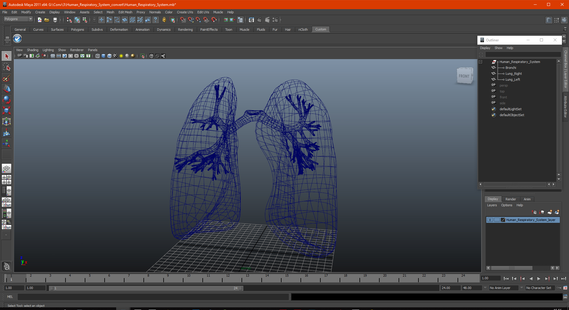 Human Respiratory System 3D model