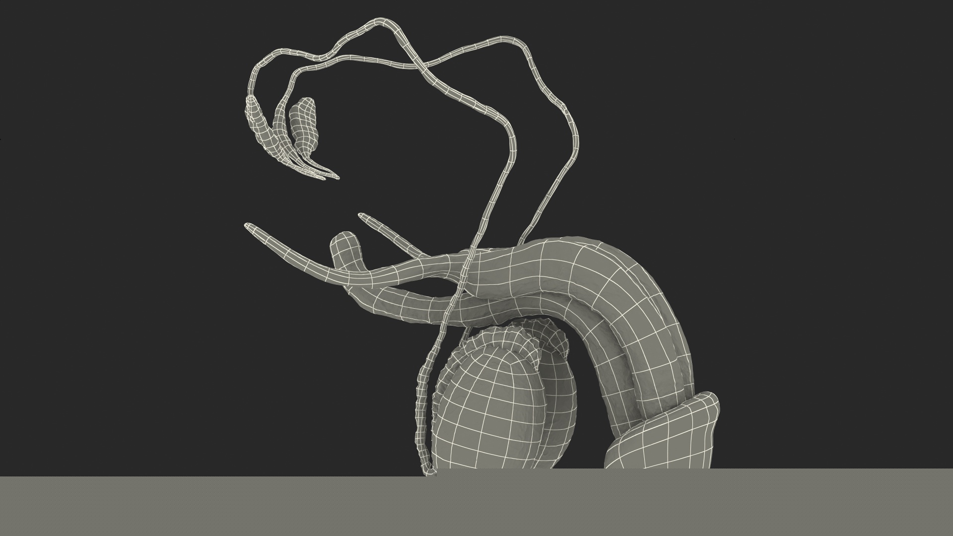 Male Reproductive System 3D model
