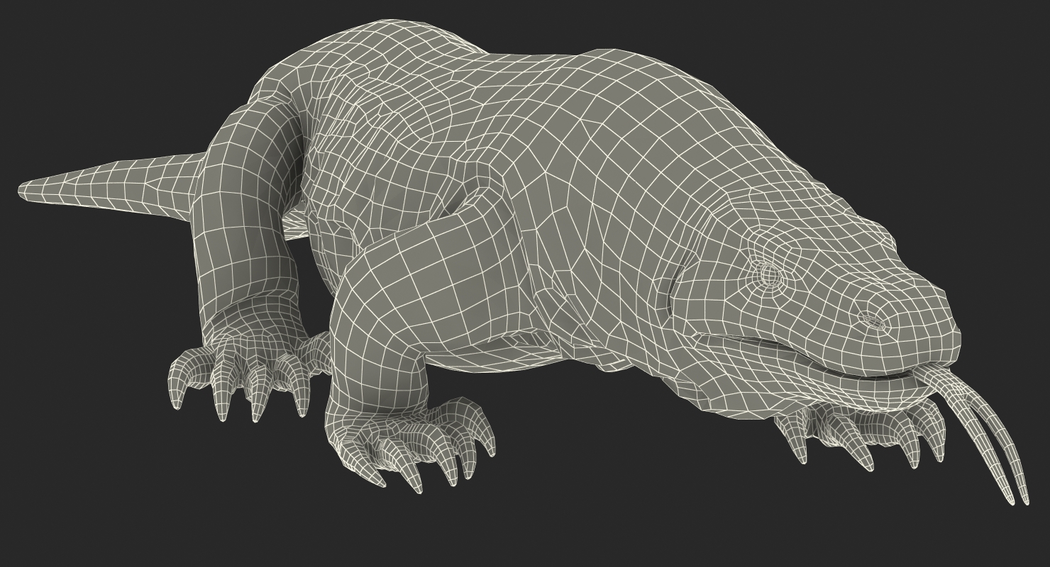 3D Komodo Dragon Walking Pose