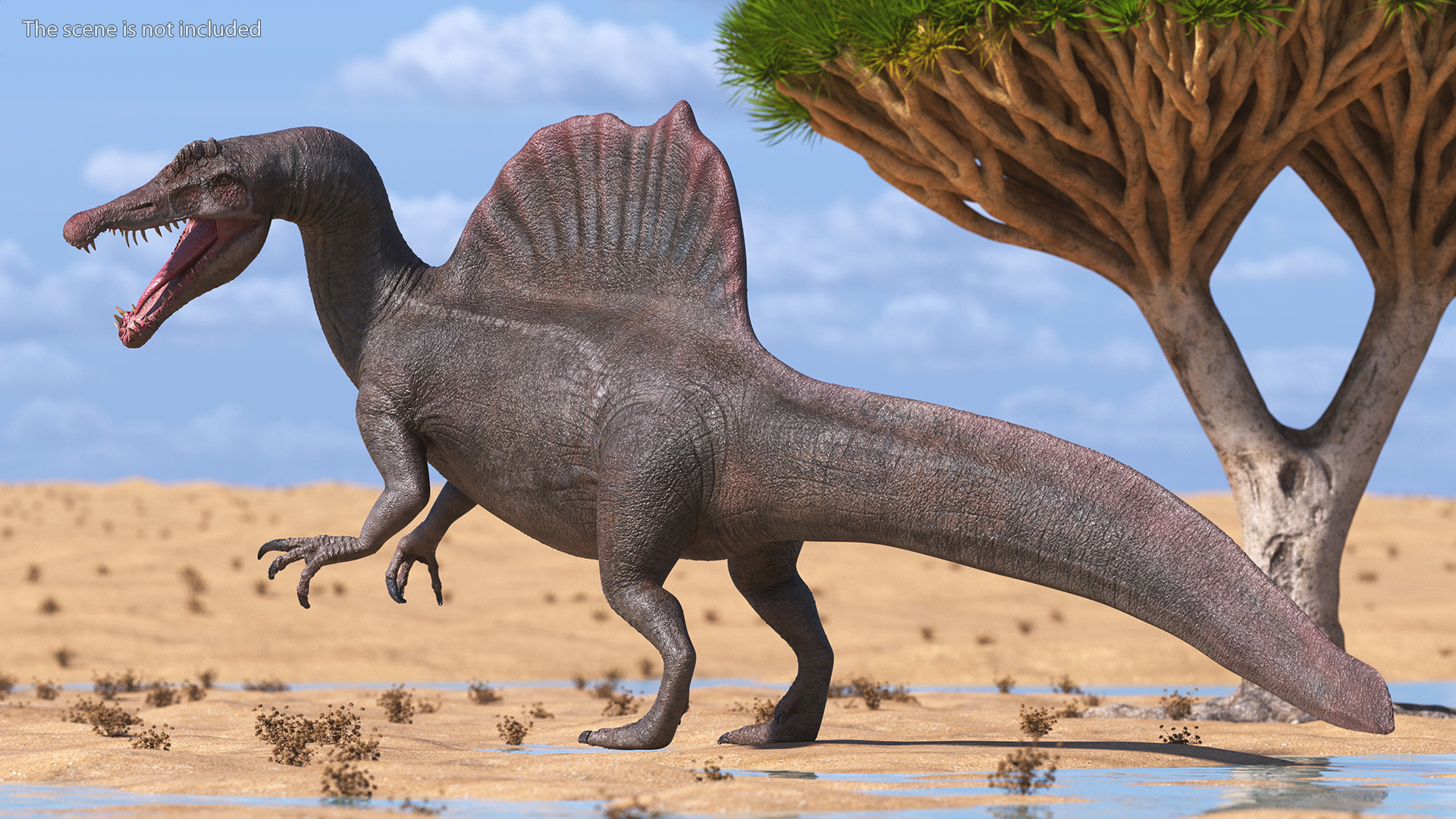Spinosaurus Roaring Pose 3D model