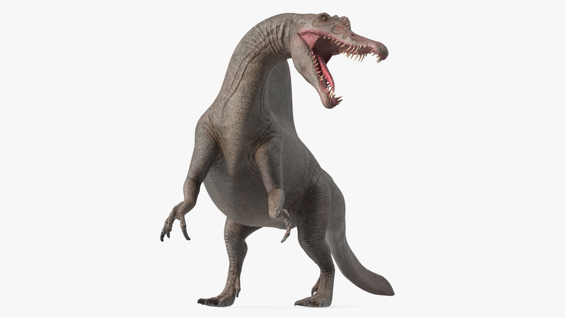 Spinosaurus Roaring Pose 3D model