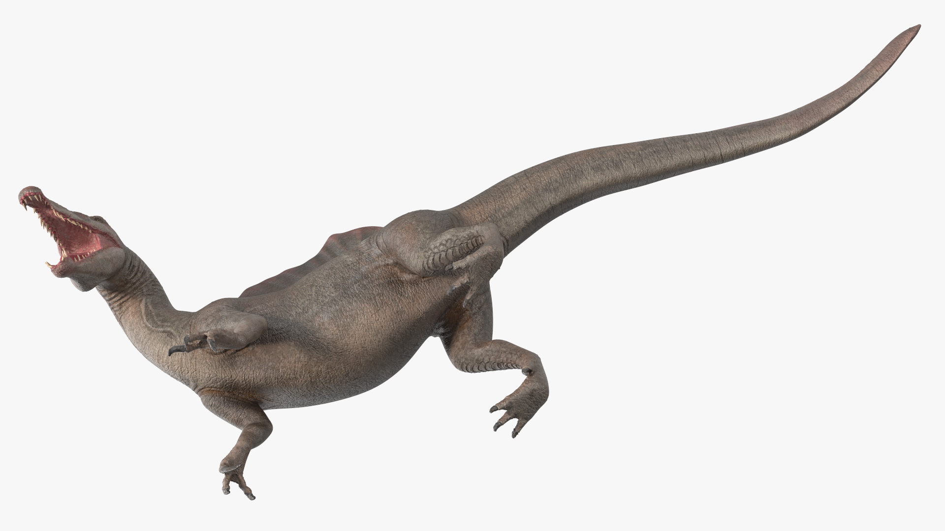 Spinosaurus Roaring Pose 3D model