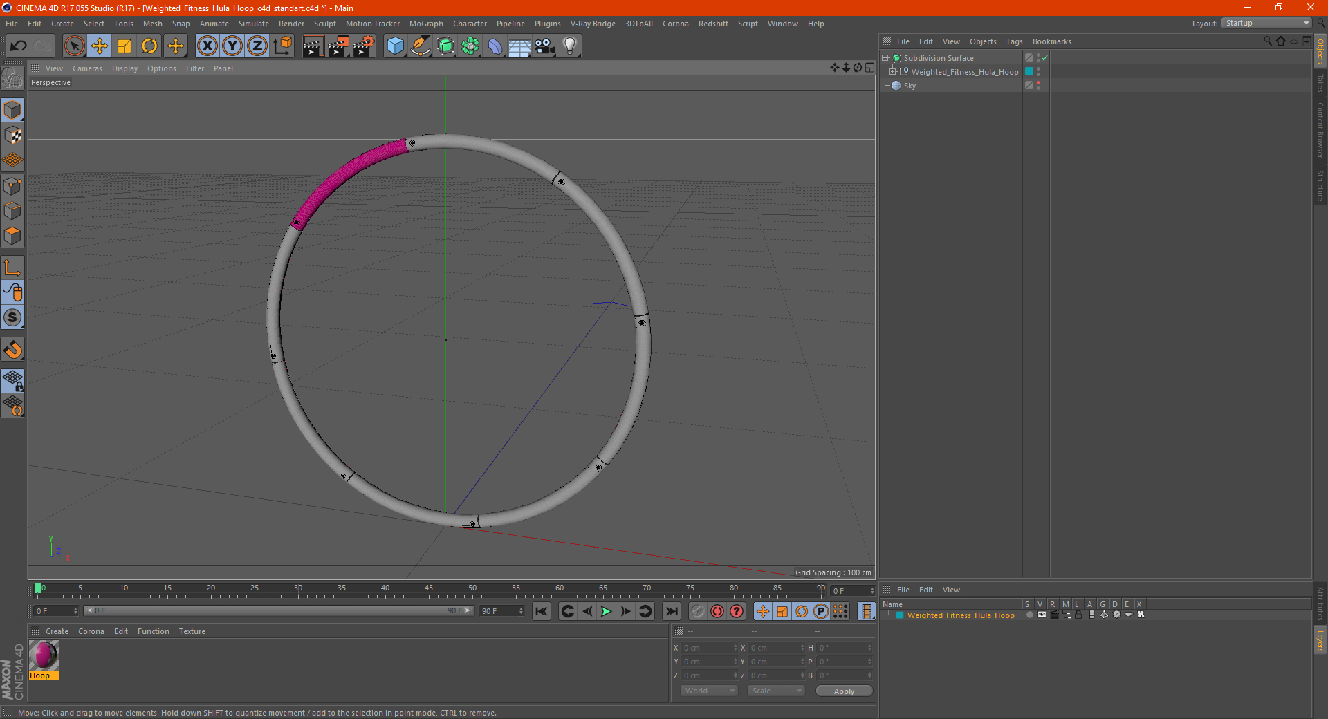 3D Weighted Fitness Hula Hoop