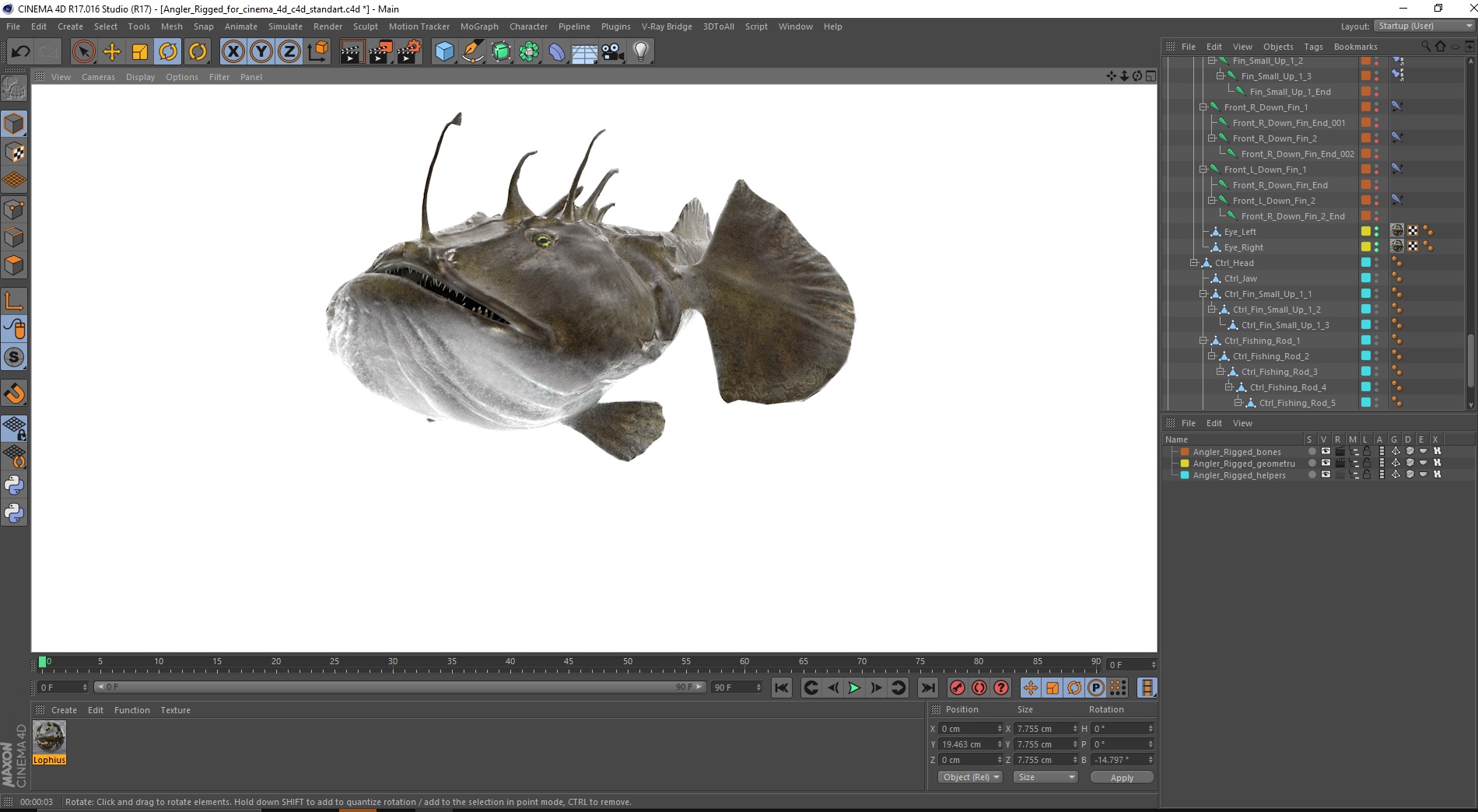 Angler Rigged for Cinema 4D 3D