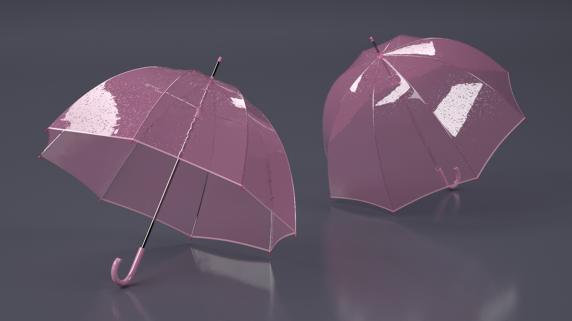 3D model Pink Clear Bubble Umbrella Wet