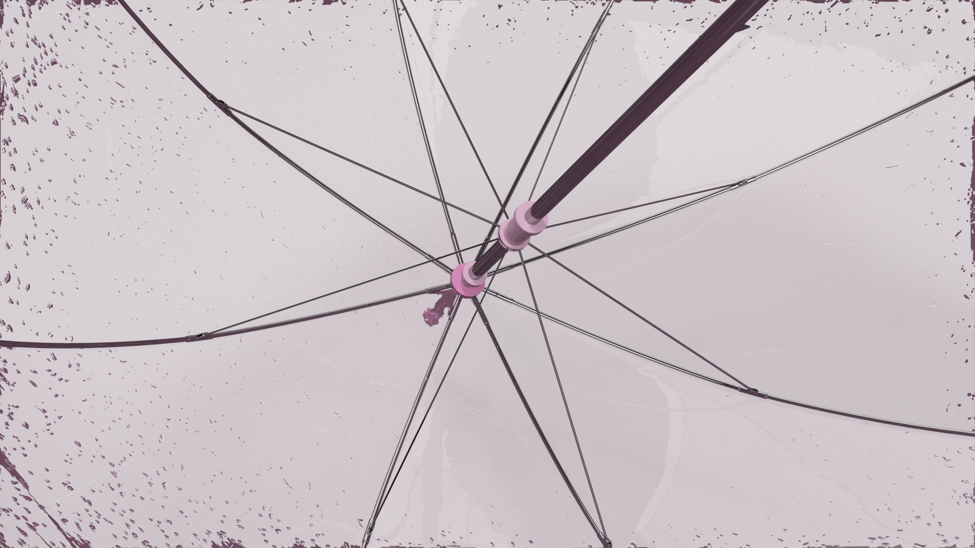 3D model Pink Clear Bubble Umbrella Wet