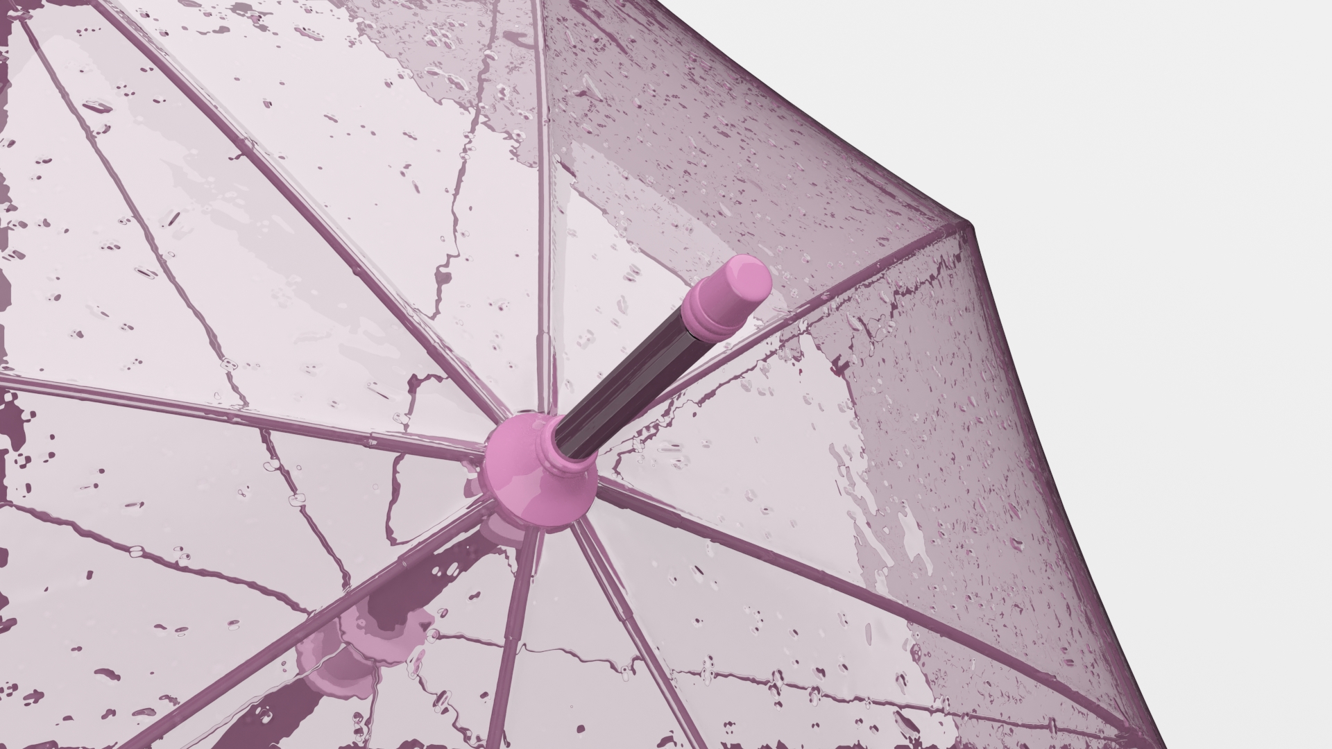 3D model Pink Clear Bubble Umbrella Wet