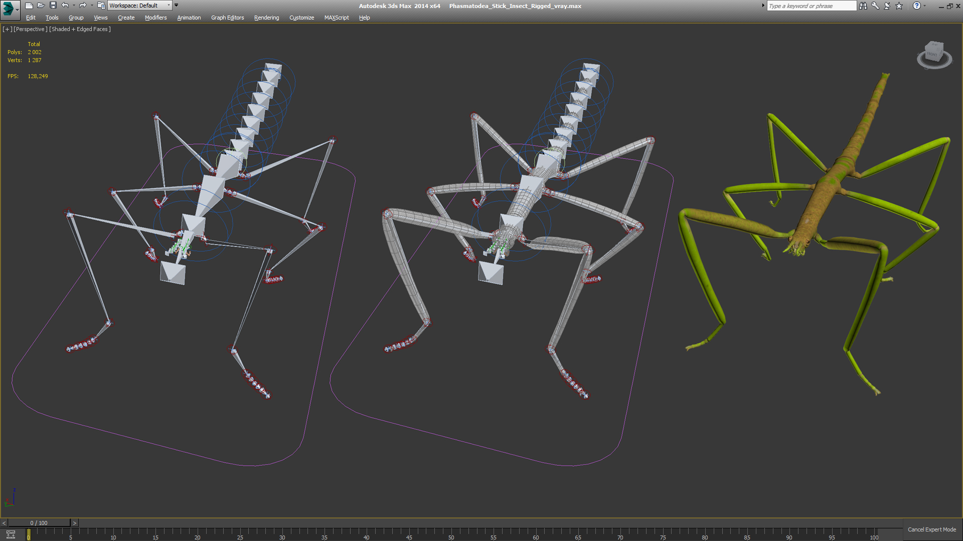 3D Phasmatodea Stick Insect Rigged