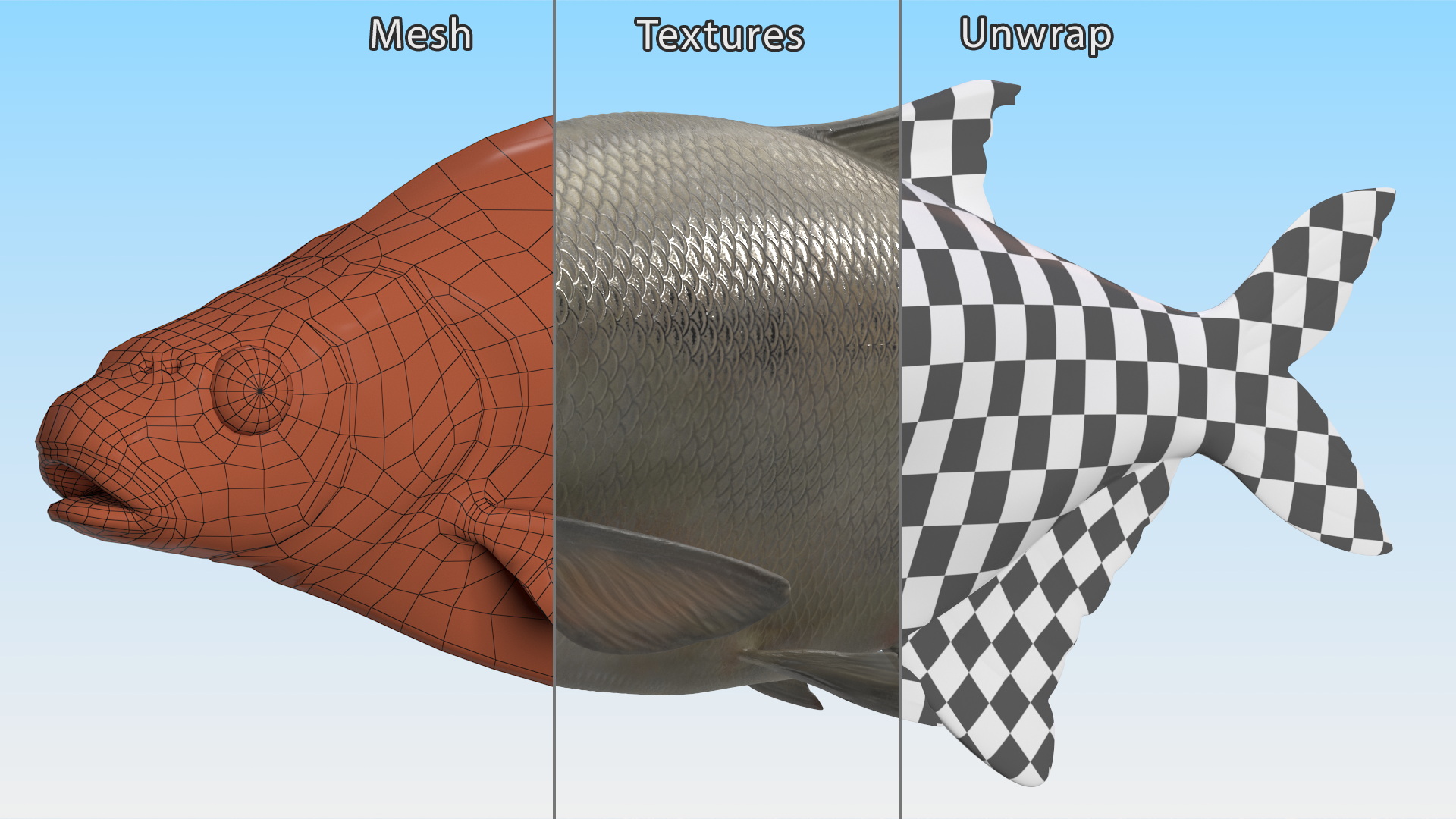 3D Silver Bream Fish Rigged for Cinema 4D model
