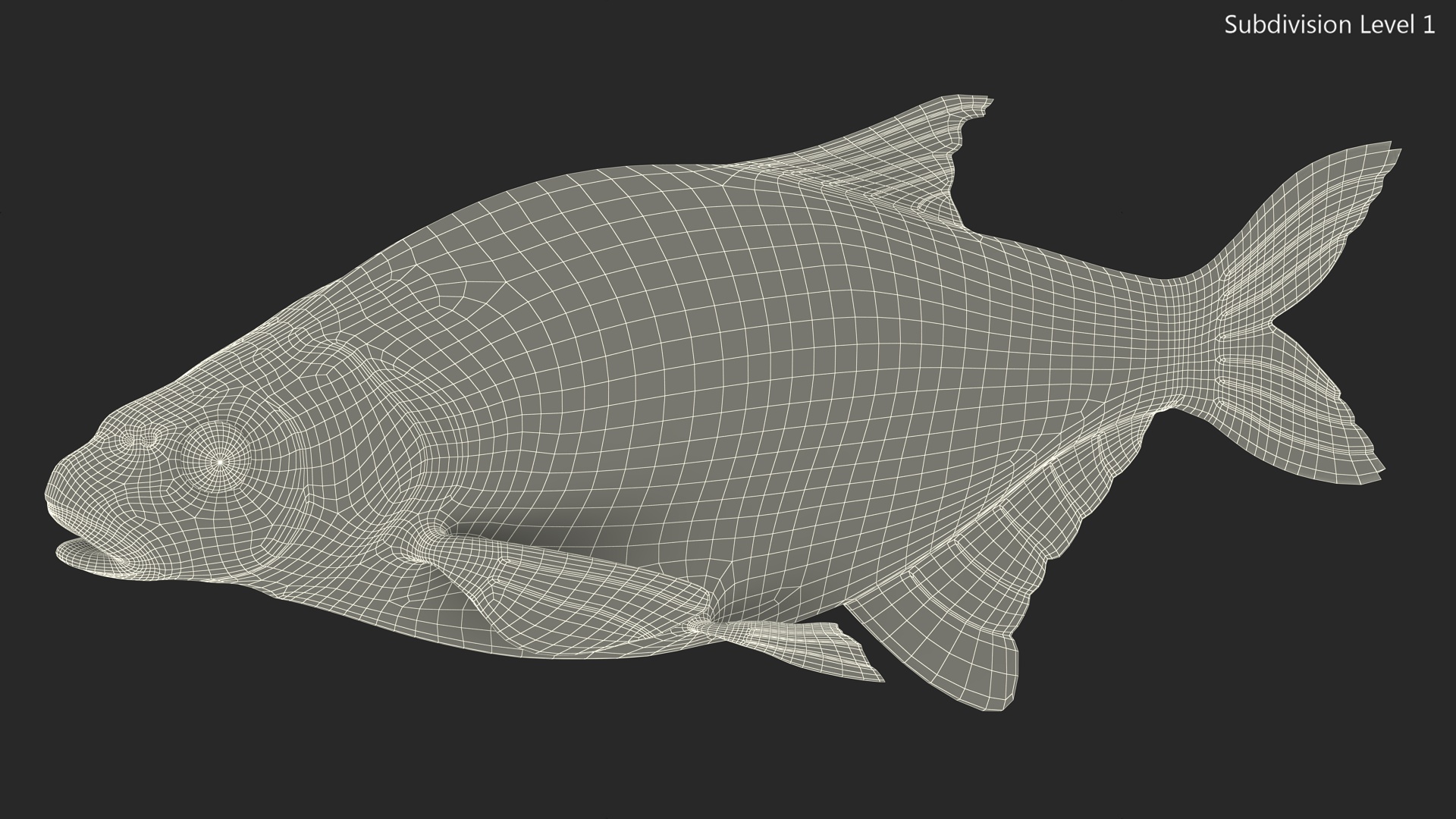 3D Silver Bream Fish Rigged for Cinema 4D model
