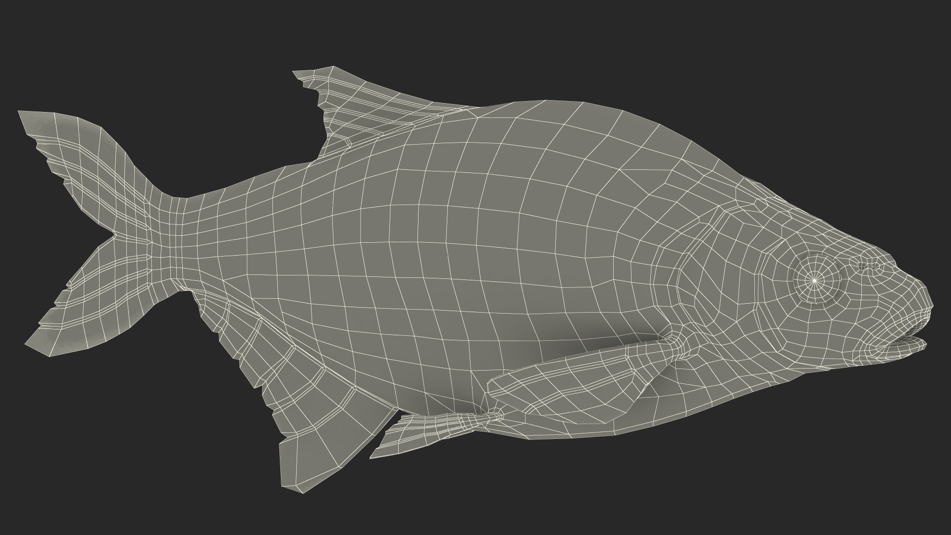 3D Silver Bream Fish Rigged for Cinema 4D model