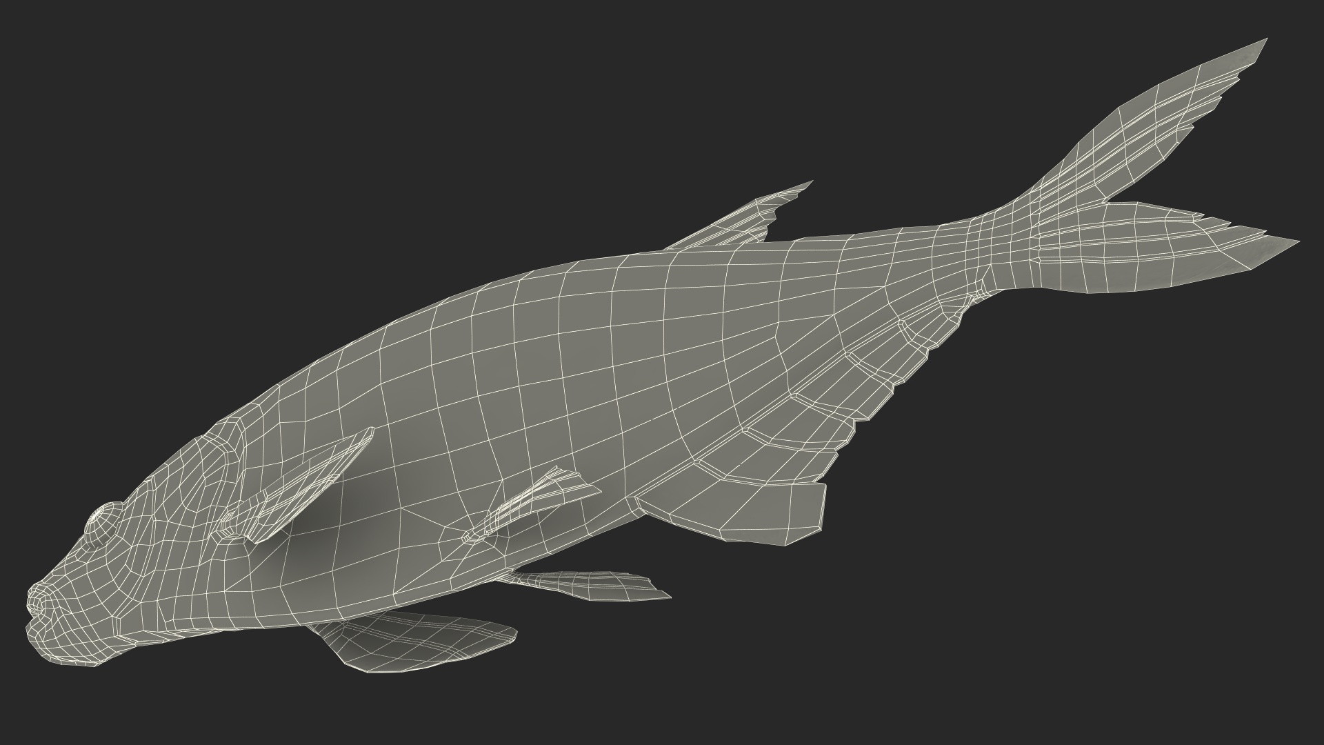 3D Silver Bream Fish Rigged for Cinema 4D model