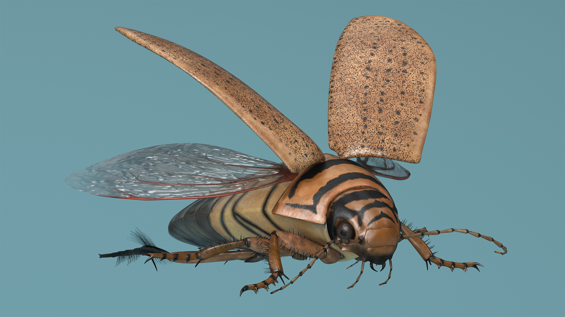 Insect Water Beetle Beige Realistic Rigged 3D