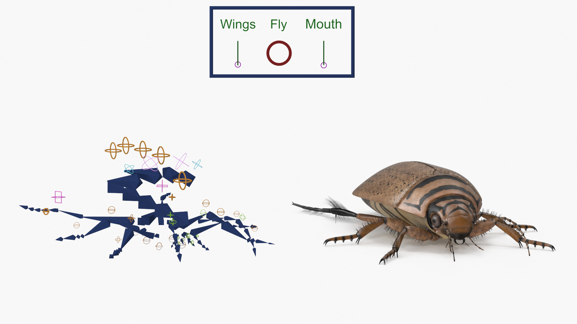 Insect Water Beetle Beige Realistic Rigged 3D