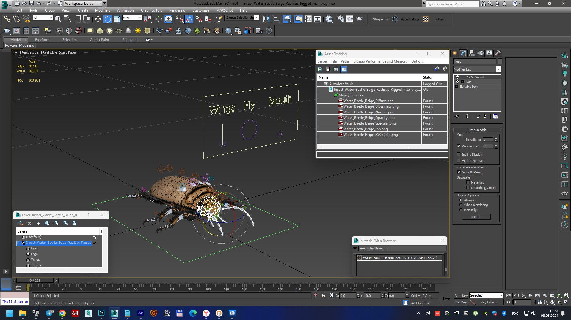 Insect Water Beetle Beige Realistic Rigged 3D