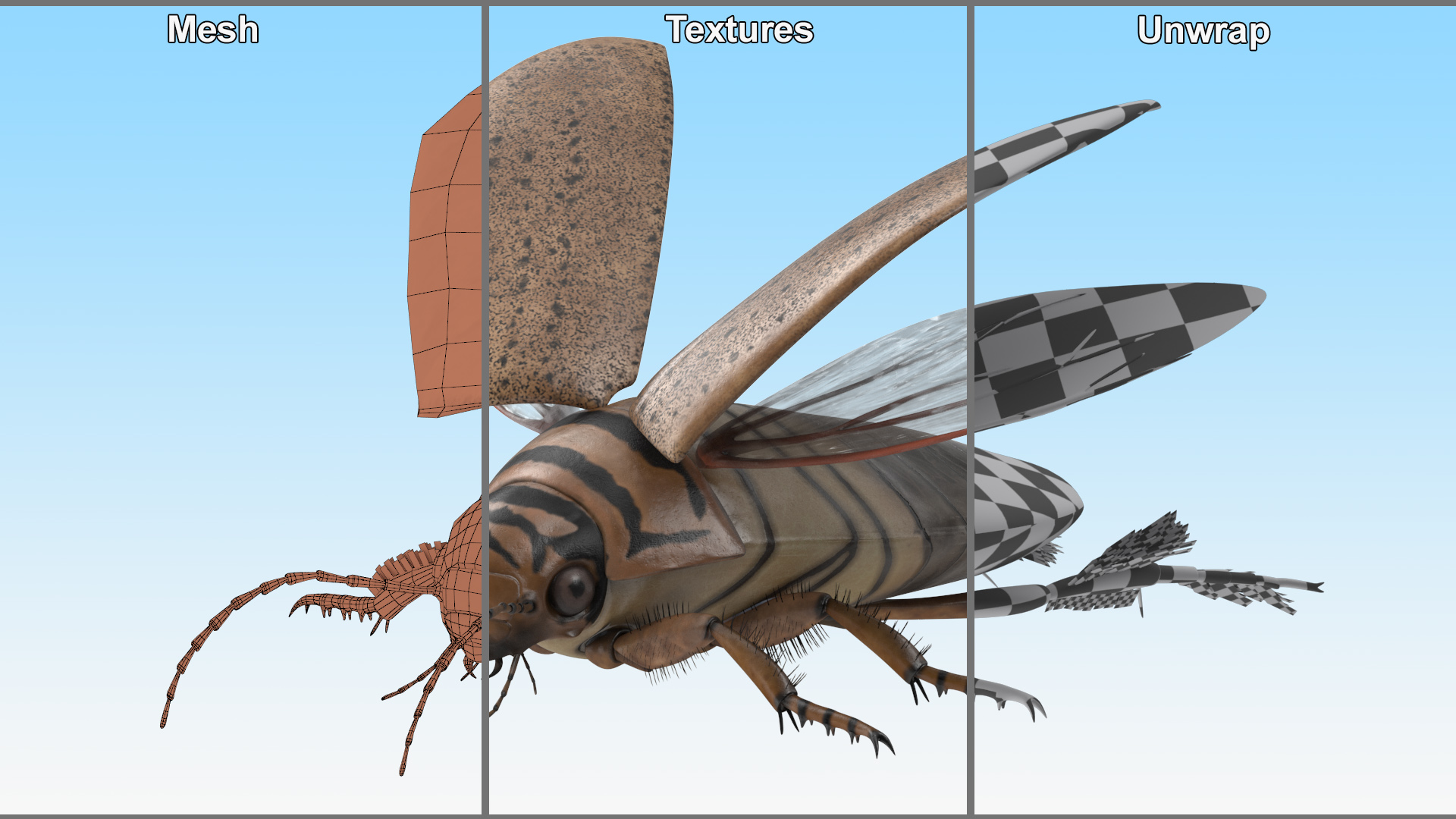 Insect Water Beetle Beige Realistic Rigged 3D
