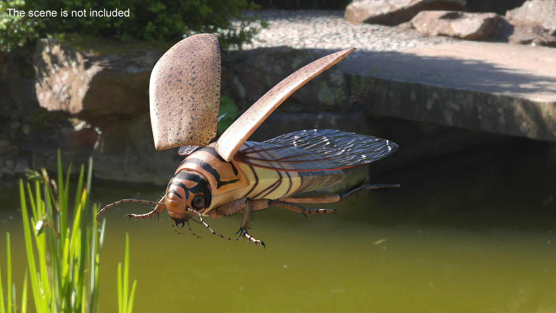 Insect Water Beetle Beige Realistic Rigged 3D