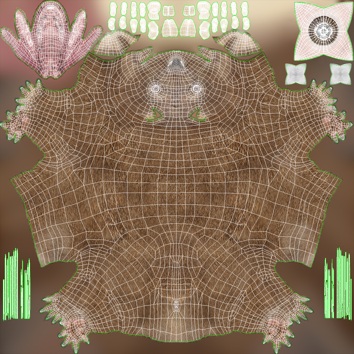 3D Common Wombat Brown Fur model
