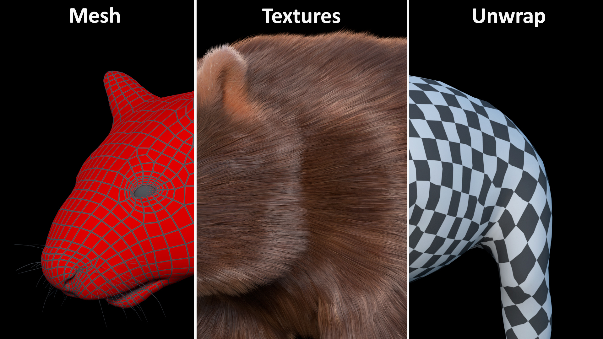 3D Common Wombat Brown Fur model
