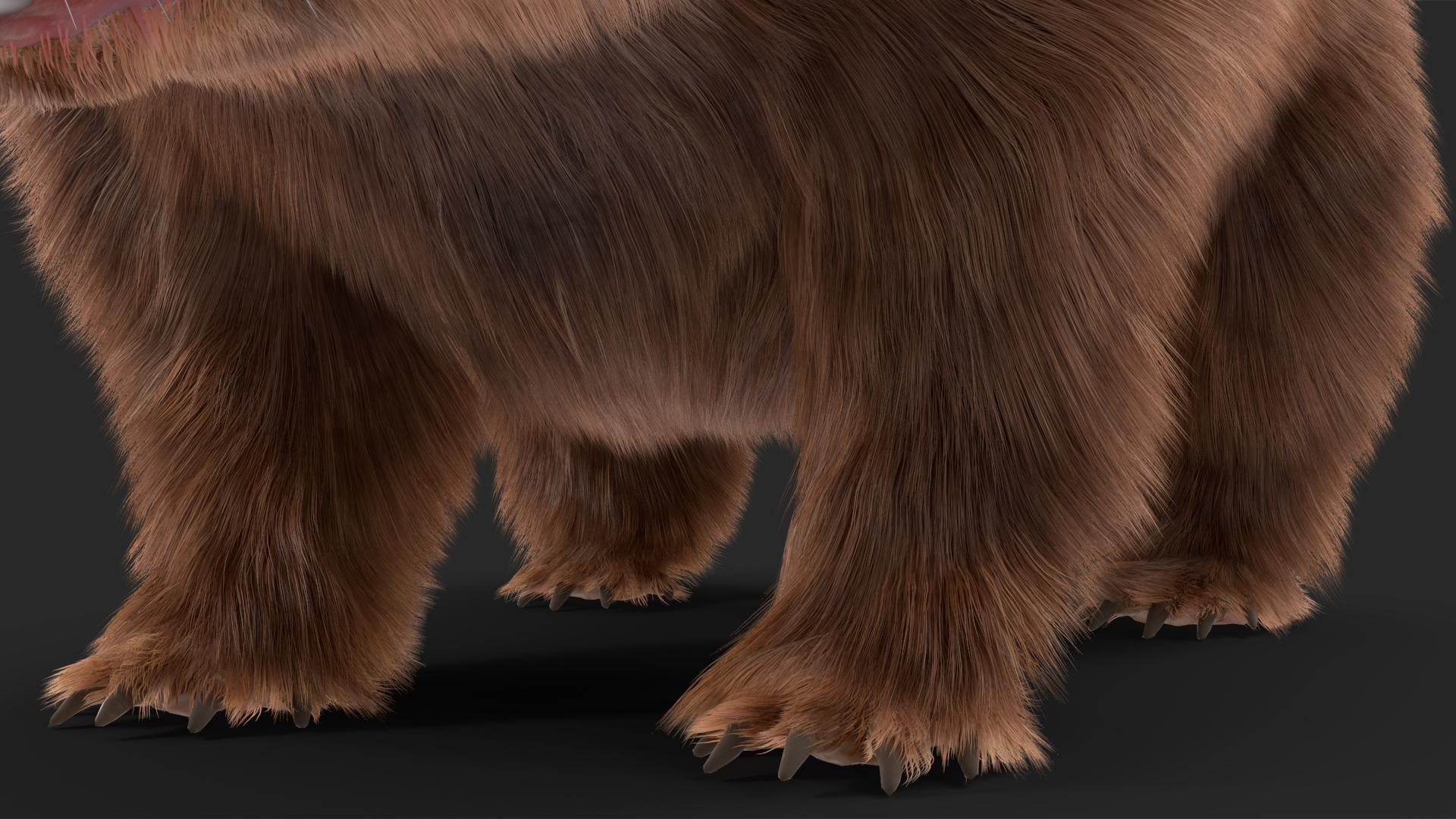 3D Common Wombat Brown Fur model