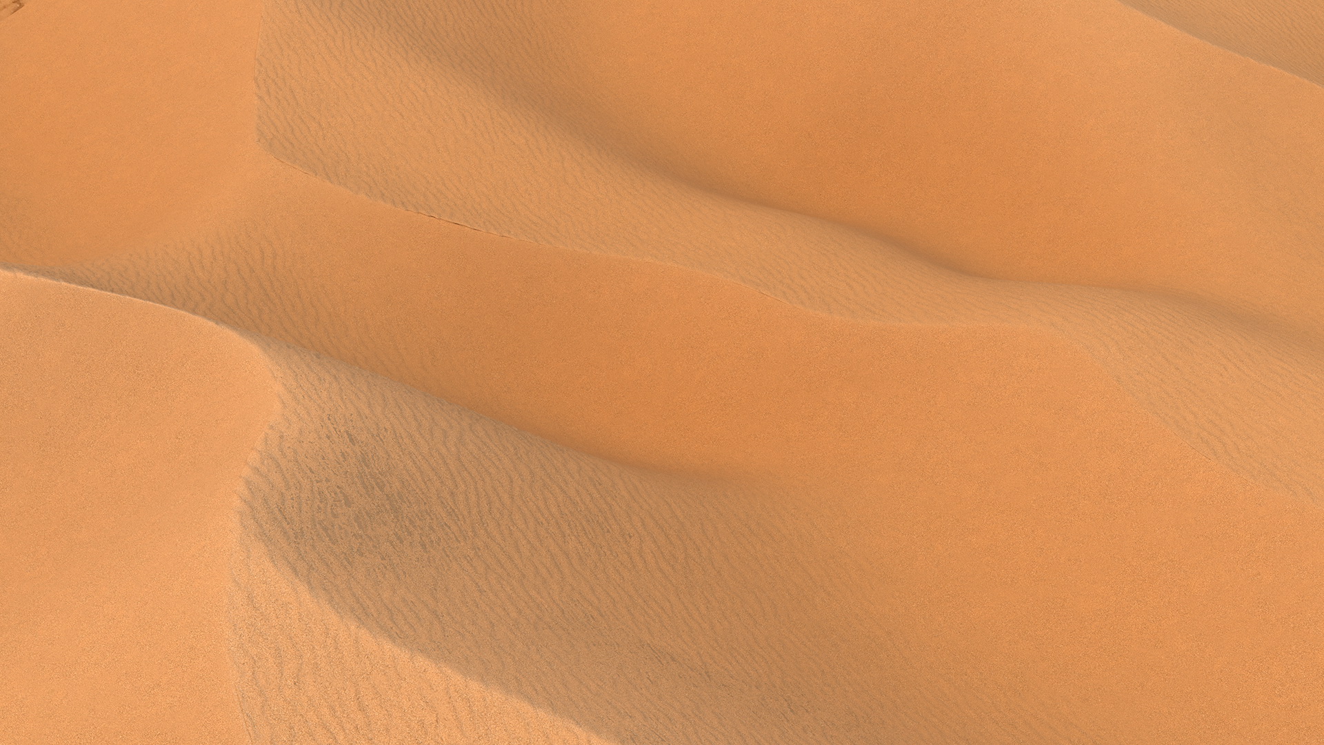 Sand Dune 3D model