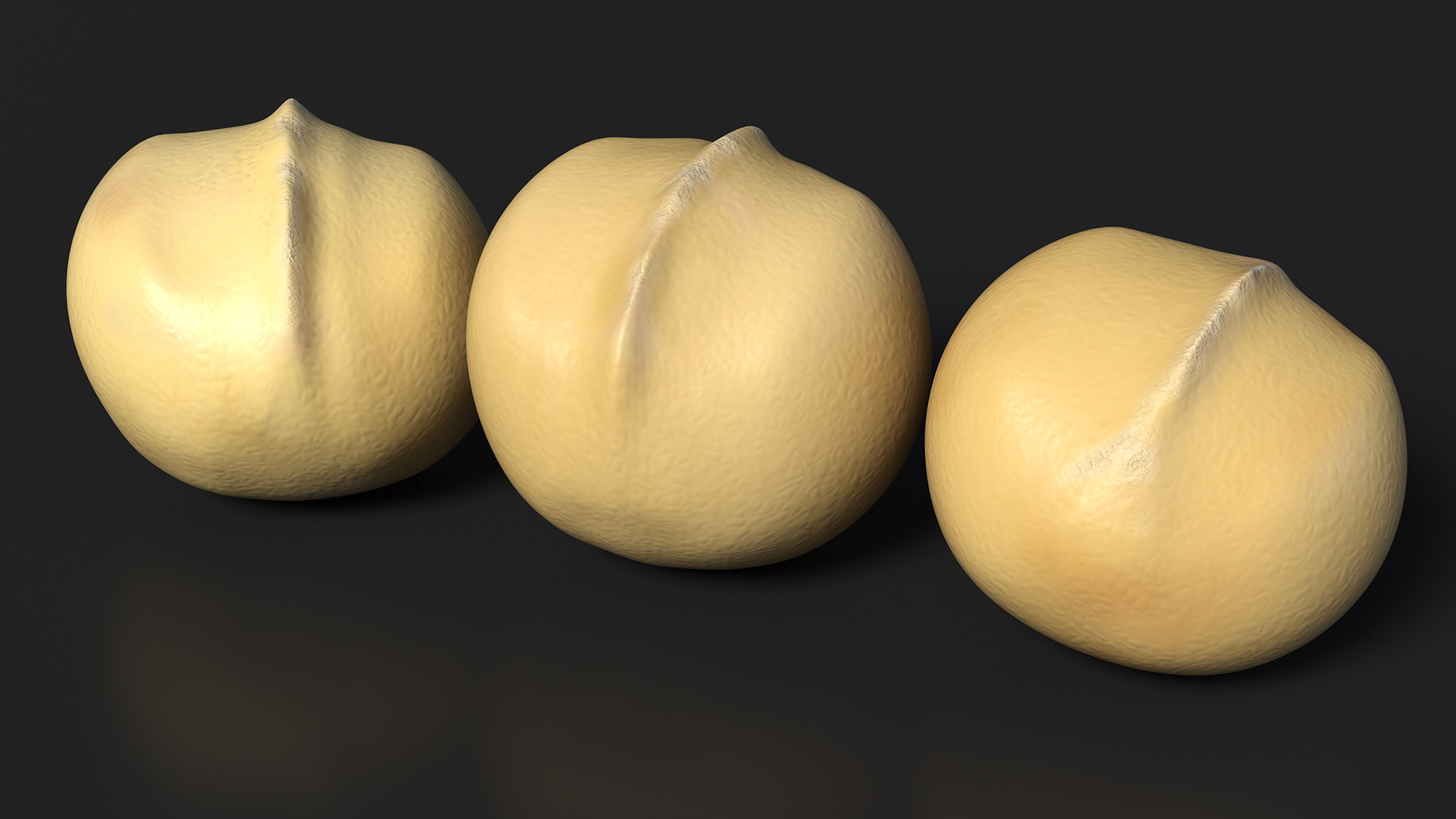 3D Peeled Macadamia Nuts