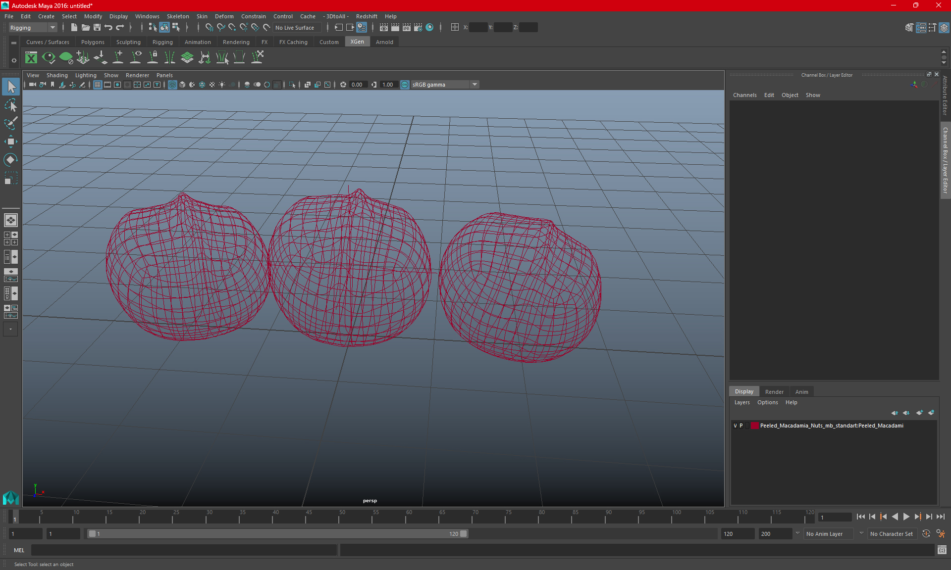 3D Peeled Macadamia Nuts