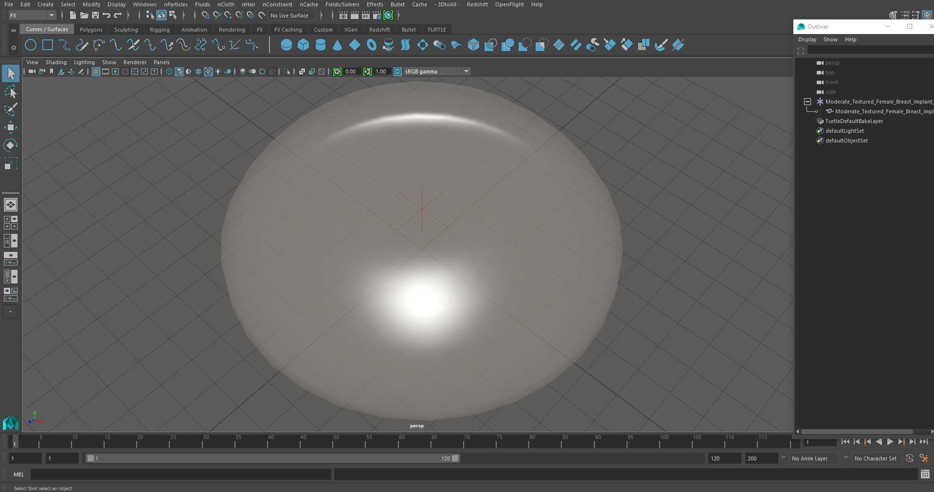 Moderate Textured Female Breast Implant 3D model