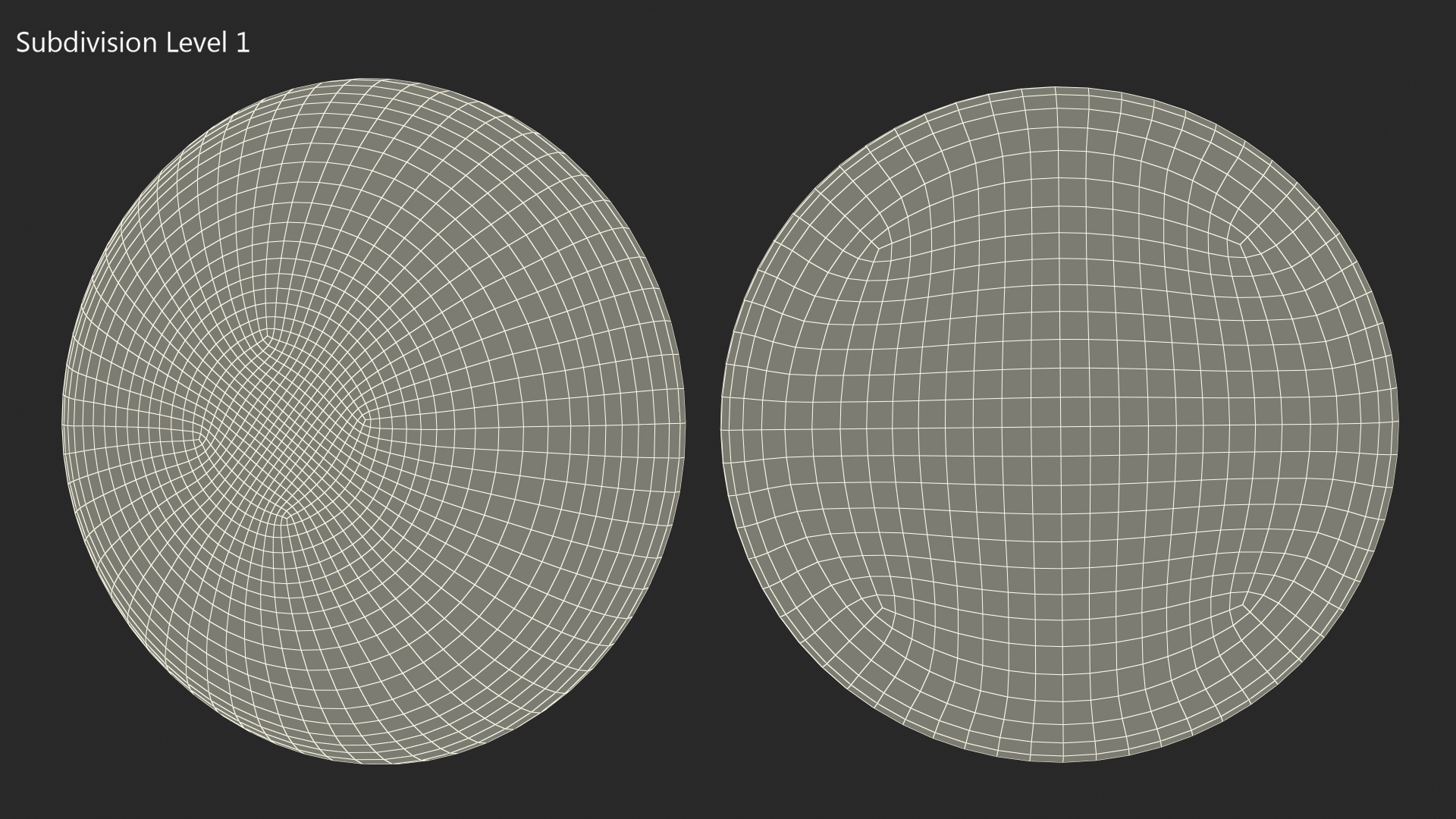 Moderate Textured Female Breast Implant 3D model