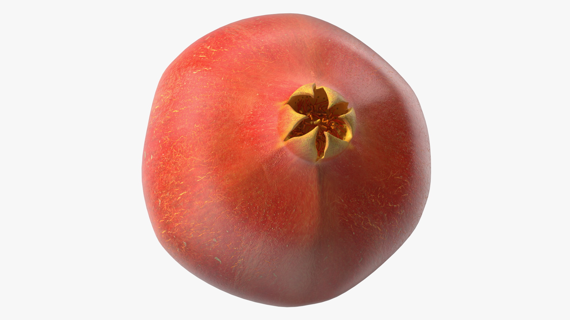 Fresh Pomegranate 3D
