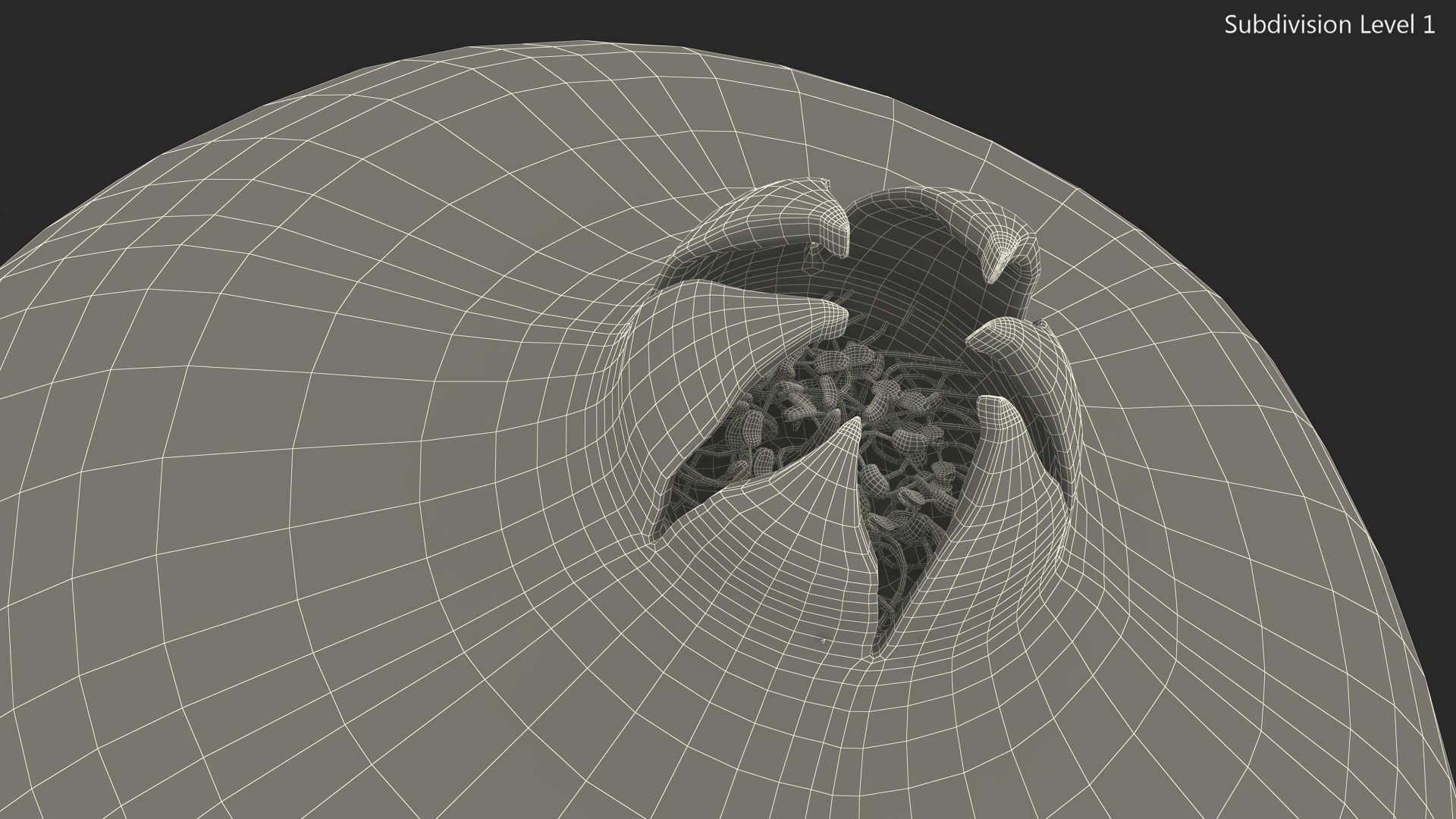 Fresh Pomegranate 3D