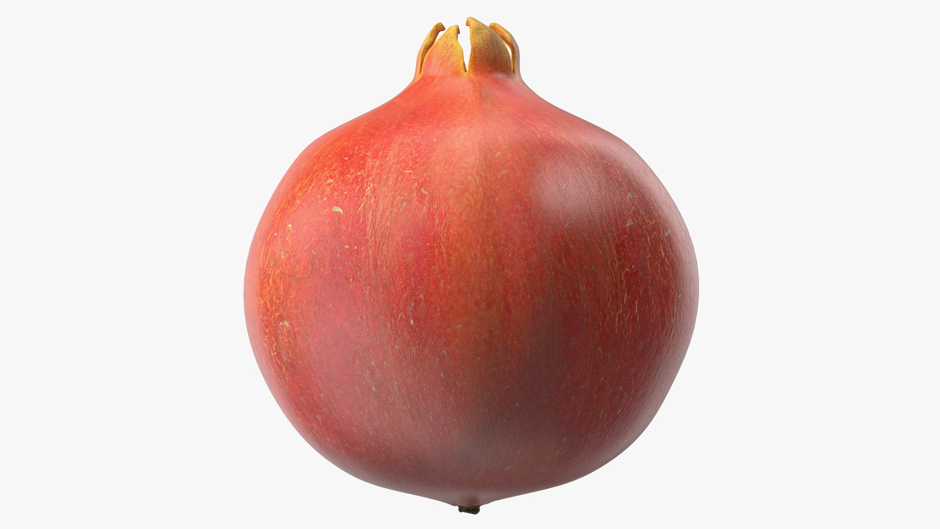 Fresh Pomegranate 3D