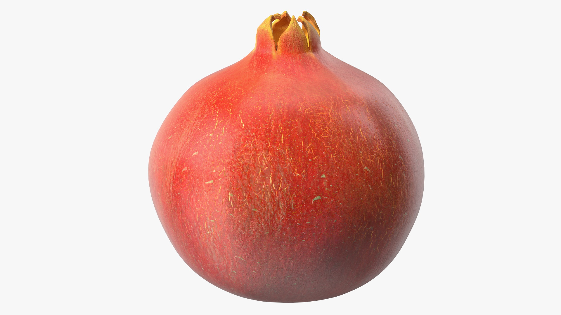 Fresh Pomegranate 3D