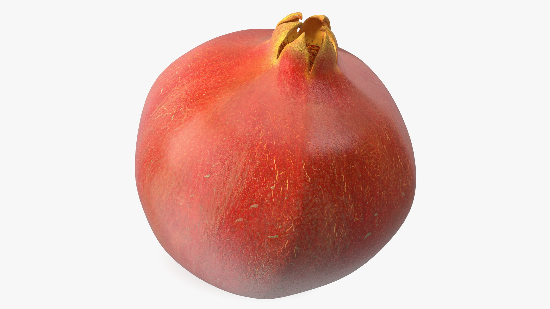 Fresh Pomegranate 3D