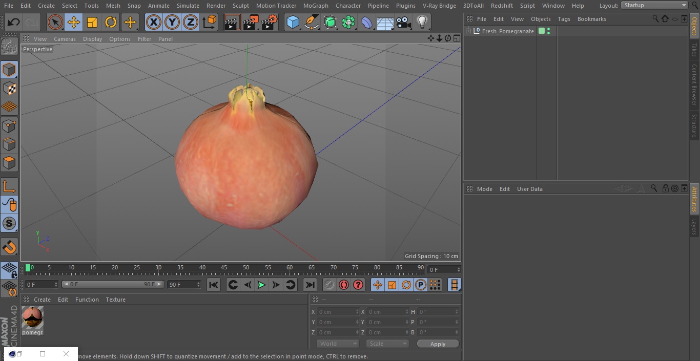 Fresh Pomegranate 3D