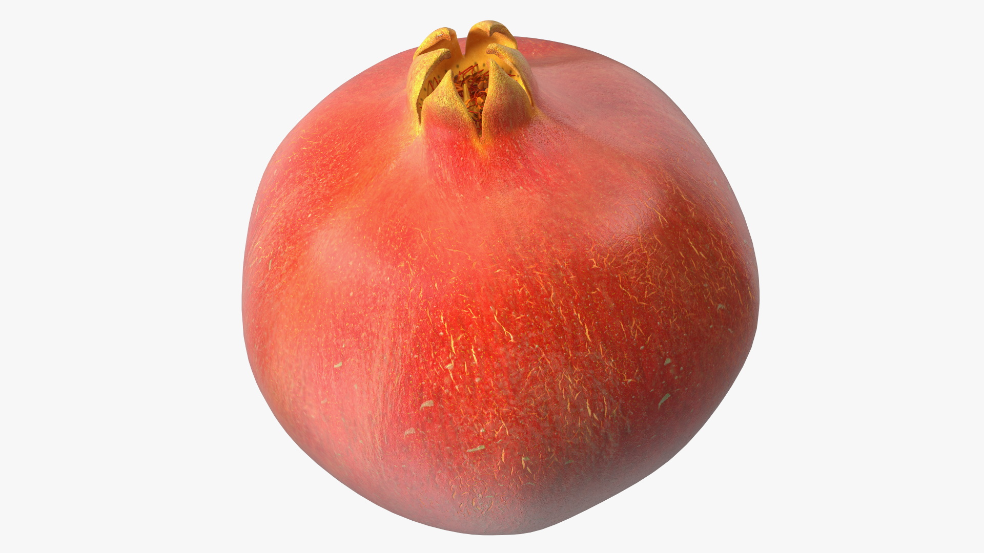 Fresh Pomegranate 3D