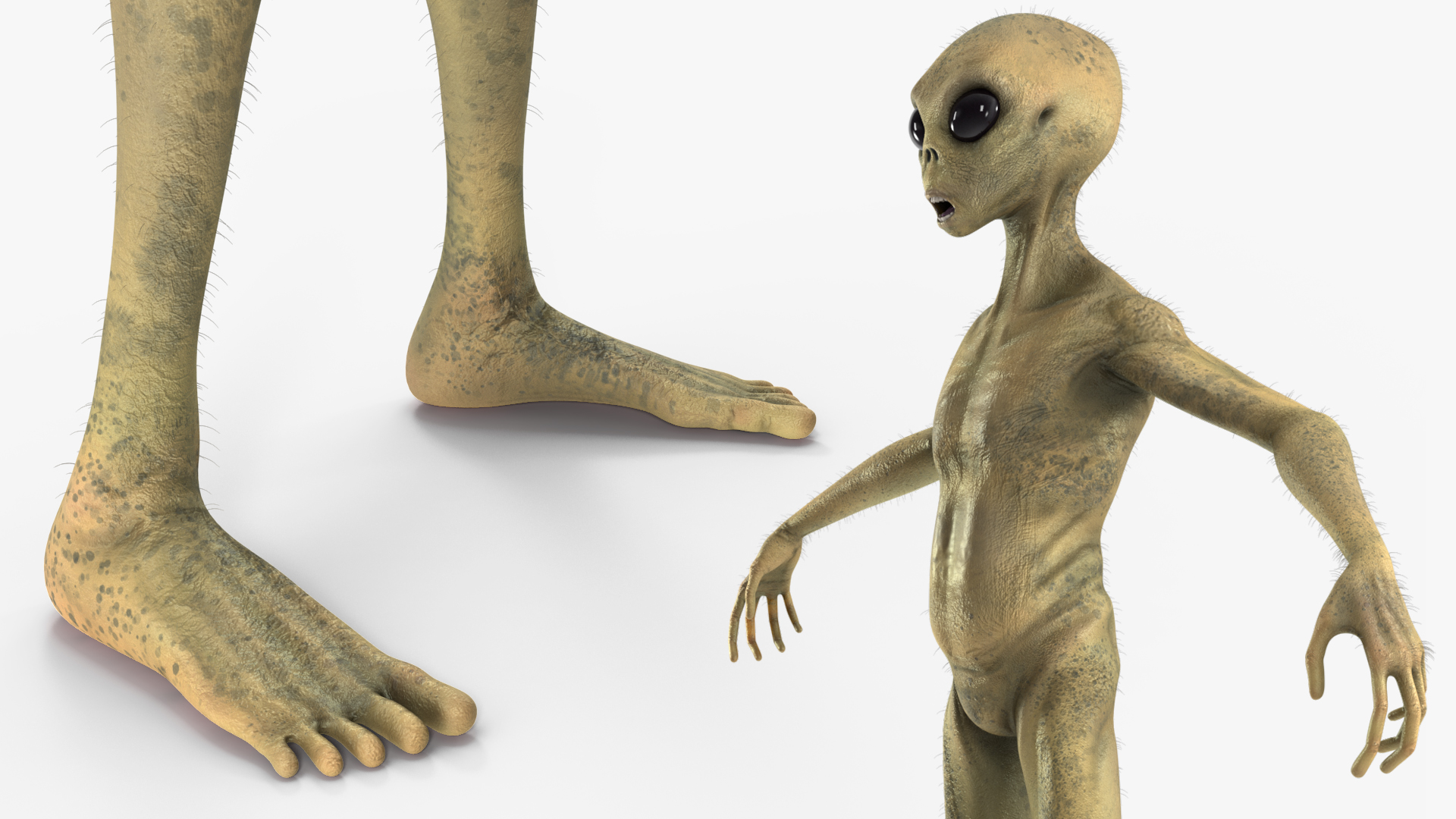 Humanoid Alien Creature Fur Rigged 3D model