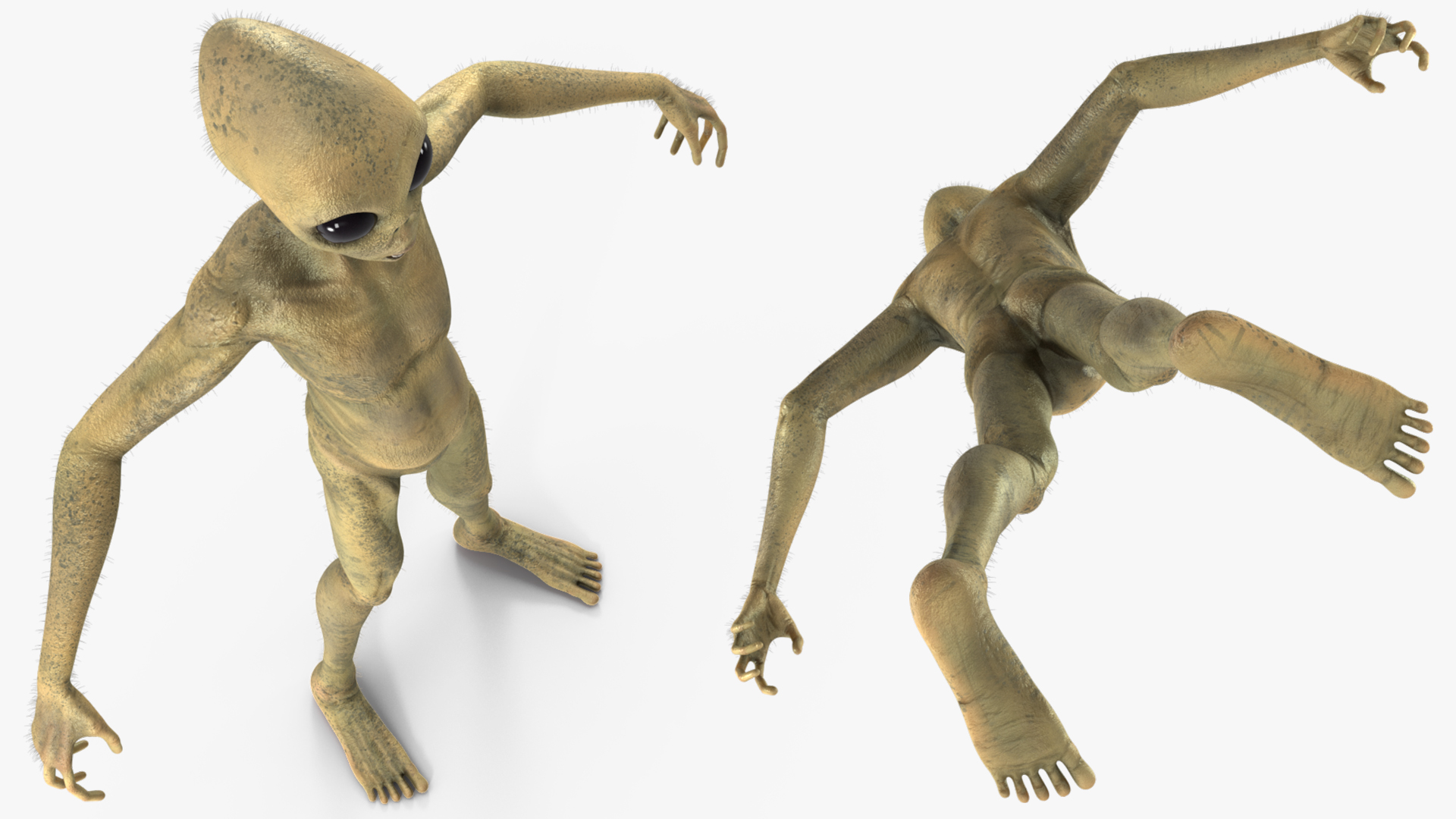 Humanoid Alien Creature Fur Rigged 3D model